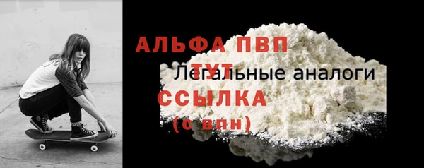 СК Алексин