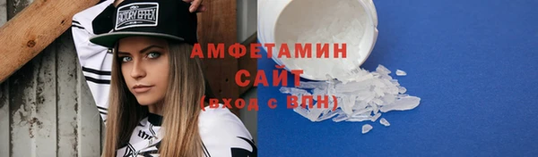 СК Алексин