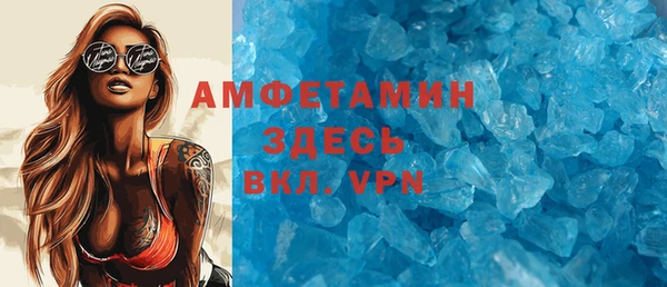 СК Алексин