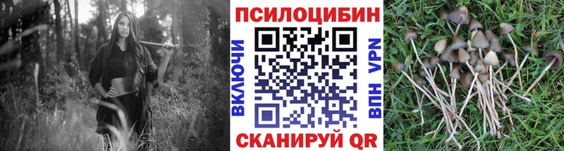 Галлюциногенные грибы мицелий  это Telegram  Рыбное 