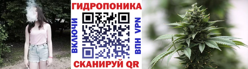 МАРИХУАНА THC 21% Рыбное
